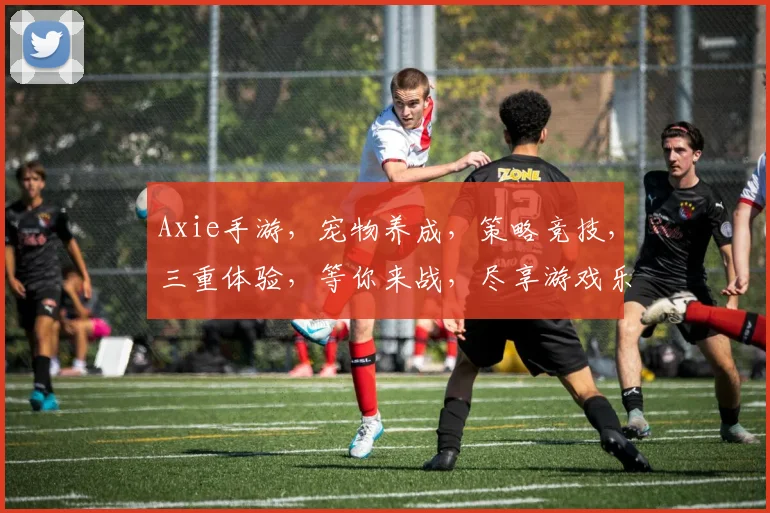 Axie手游，宠物养成，策略竞技，三重体验，等你来战，尽享游戏乐趣